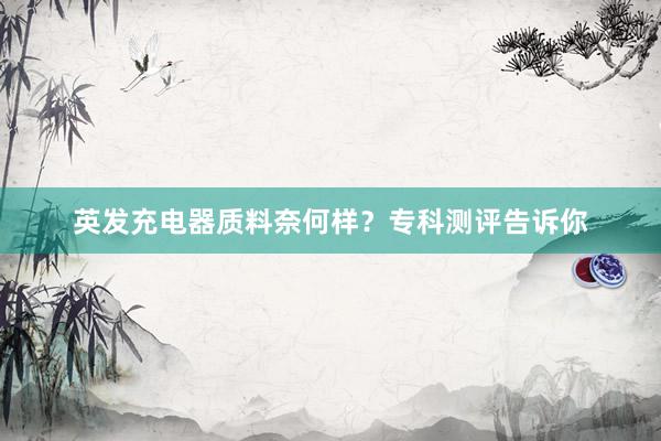 英发充电器质料奈何样？专科测评告诉你