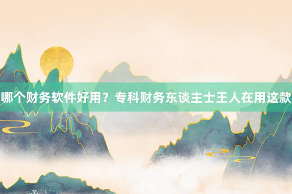 哪个财务软件好用？专科财务东谈主士王人在用这款